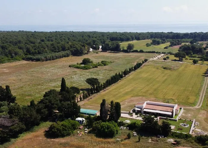 Appartamento Affitto Frassanito